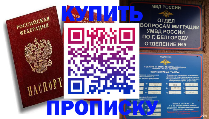 прописка иностранных граждан в Вязниках